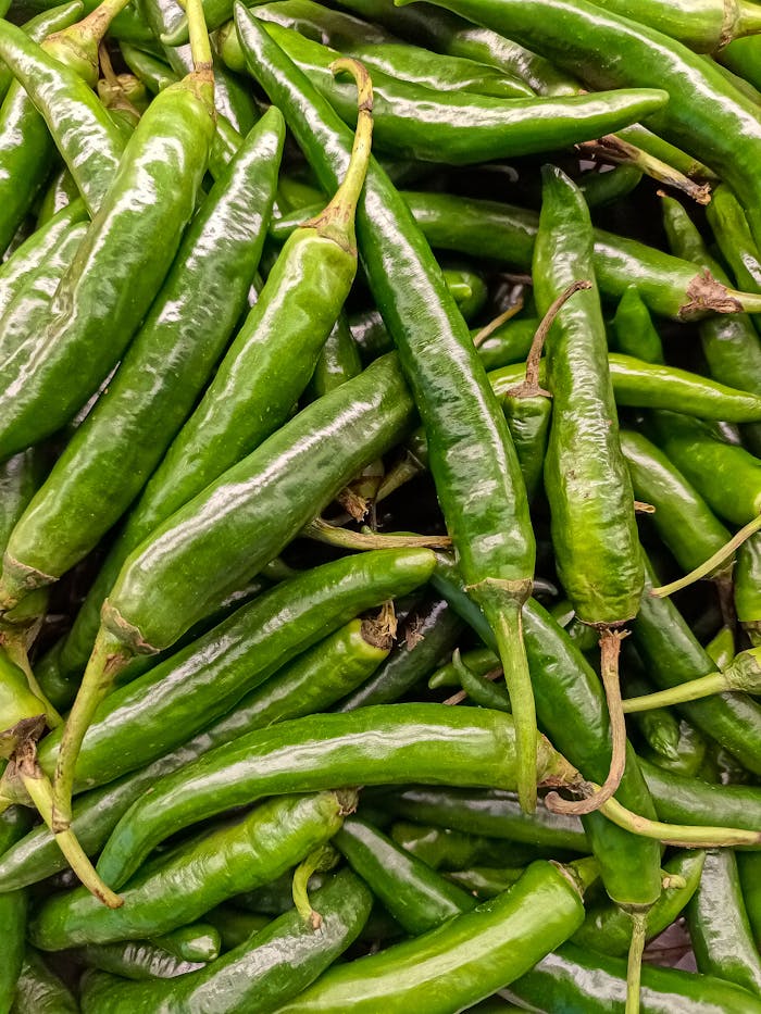 Fresh Green Chili