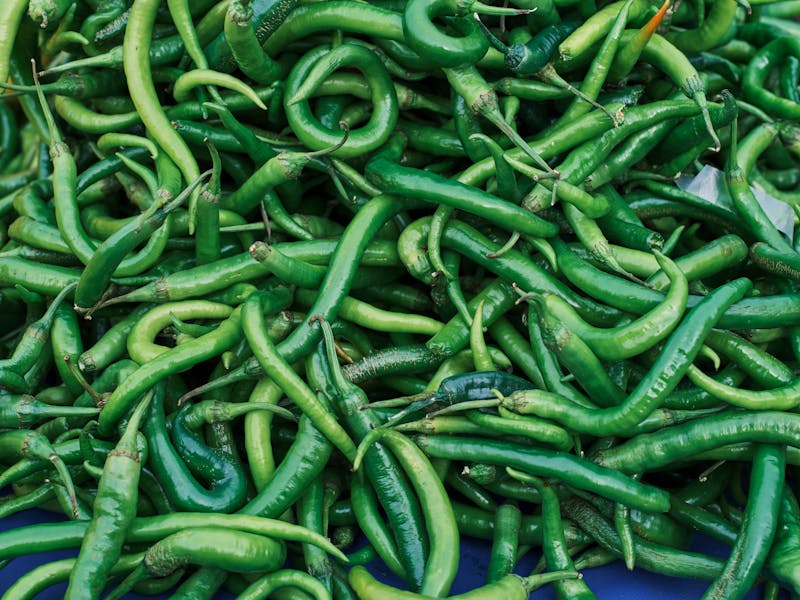Fresh Green Chili